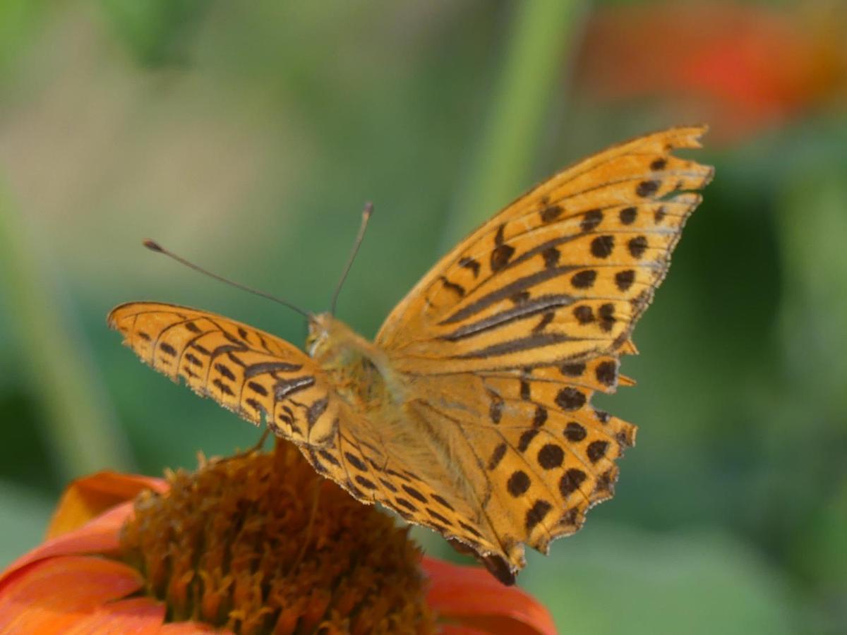 Source Nature Le Mas-d'Azil Екстер'єр фото